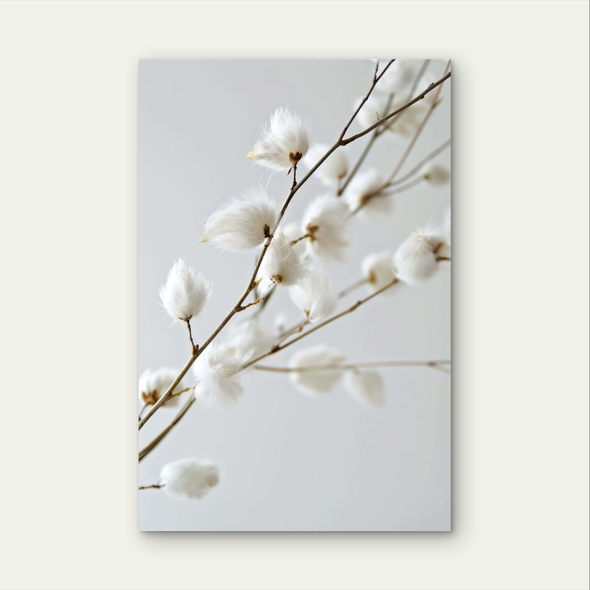 White Cotton Flower Branch Minimalist 40x60cm Metal Print Ready to Hang