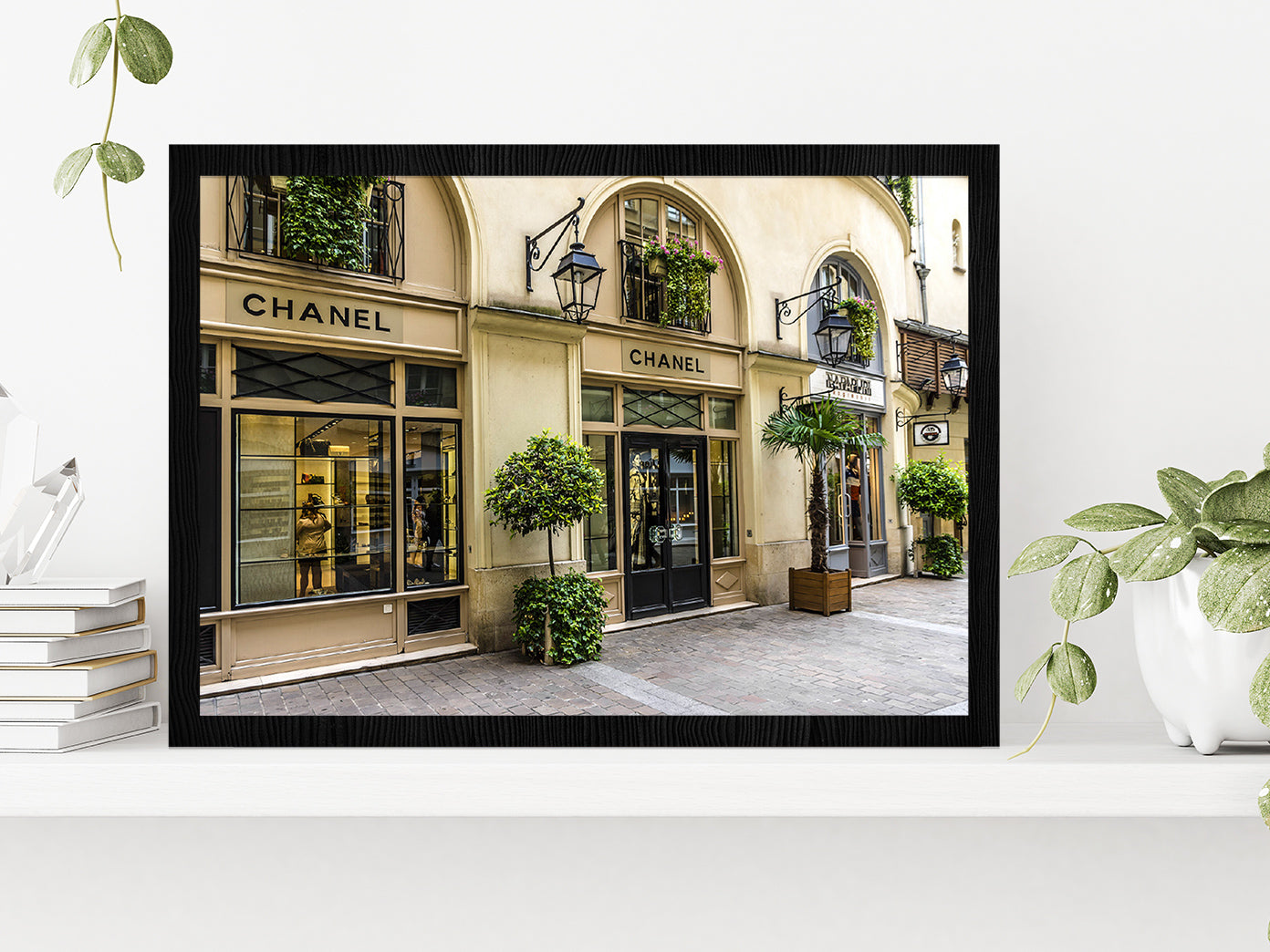 Tree Plants near Fashion Store Madeleine Glass Framed Wall Art, Ready to Hang Quality Print Without White Border Black