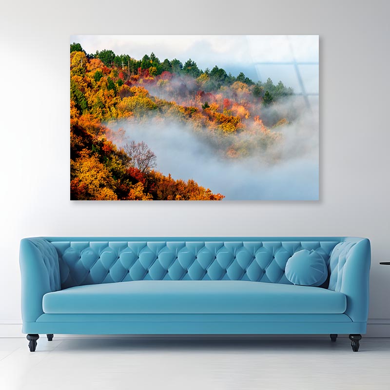 Gog & Forest Mist Acrylic Glass Print Tempered Glass Wall Art 100% Made in Australia Ready to Hang