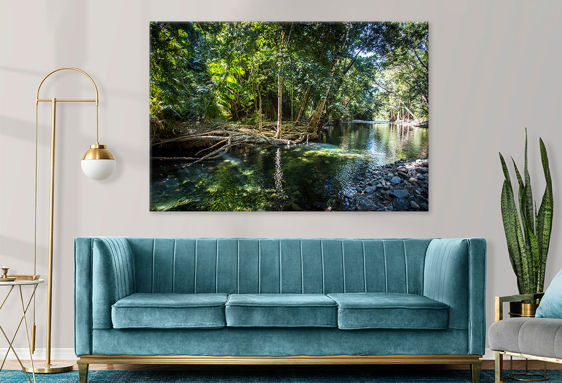 Daintree Rainforest Queensland Cape Tribulation Creek Wall Art Decor 100% Australian Made