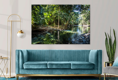 Daintree Rainforest Queensland Cape Tribulation Creek Wall Art Decor 100% Australian Made