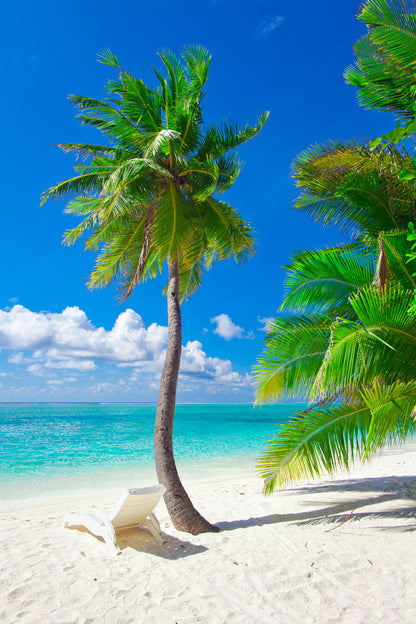 Palm Tree & Chair in Paradise Beach Photograph Glass Framed Wall Art, Ready to Hang Quality Print