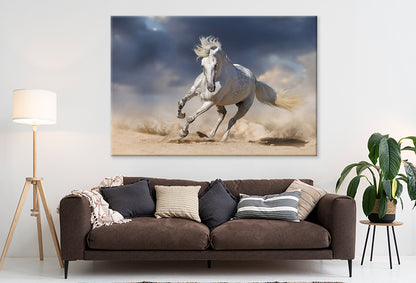 White horse running in desert sky Wall Art Decor 100% Australian Made - Bella Home Decor