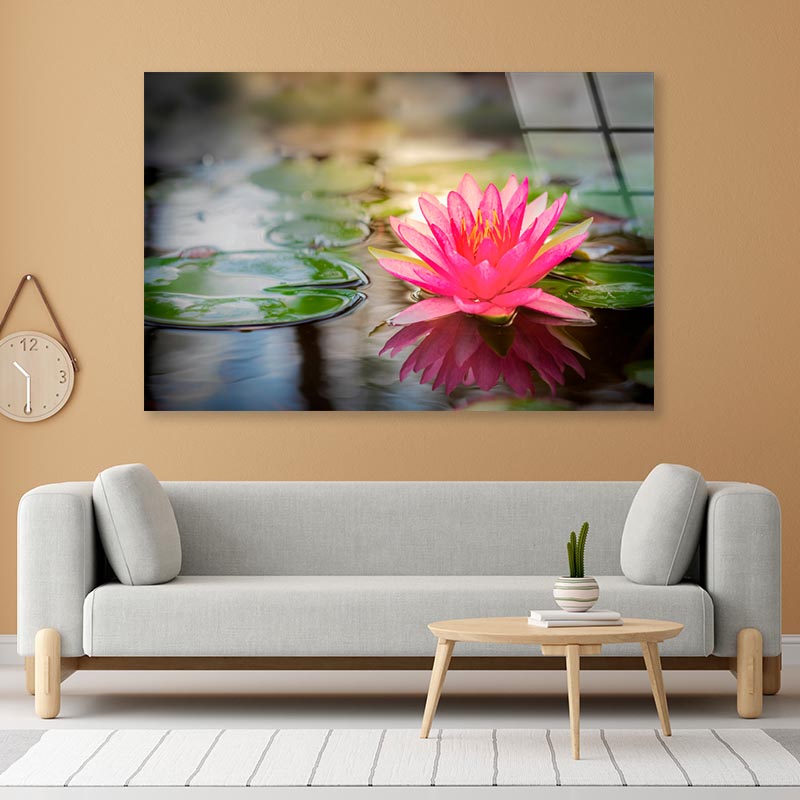 Pink Lotus On Water Acrylic Glass Print Tempered Glass Wall Art 100% Made in Australia Ready to Hang