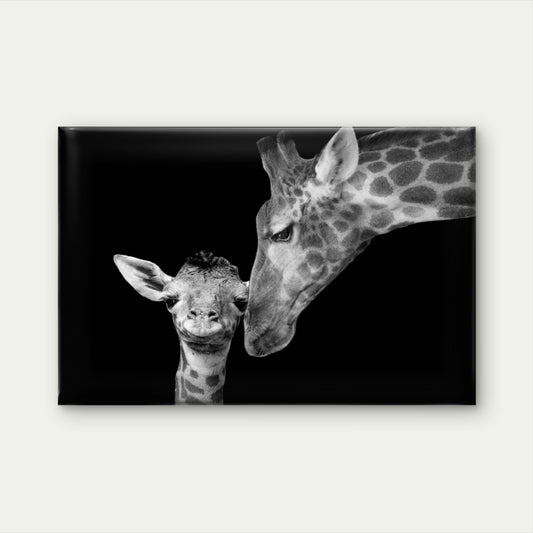 Mother and Baby Giraffe Africa Wall Art Decor 100% Australian Made