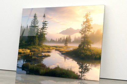 View at Heather Meadow with Mountains Acrylic Glass Print Tempered Glass Wall Art 100% Made in Australia Ready to Hang - Bella Home Decor