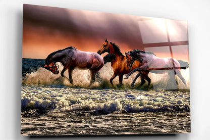 Horses In Ocean Acrylic Glass Print Tempered Glass Wall Art 100% Made in Australia Ready to Hang