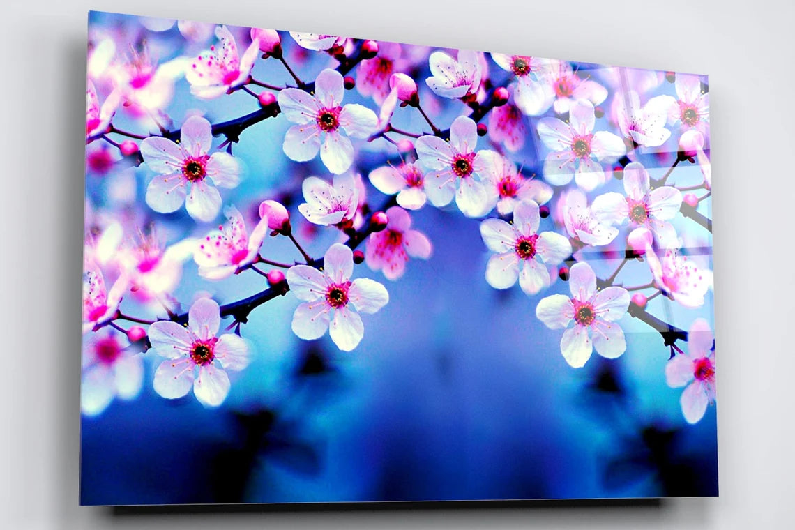 Cherry Blossom Japanese Flower Acrylic Glass Print Tempered Glass Wall Art 100% Made in Australia Ready to Hang