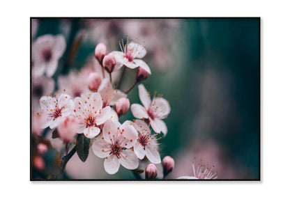 Closeup Of Spring Blossom Flower Home Decor Premium Quality Poster Print Choose Your Sizes