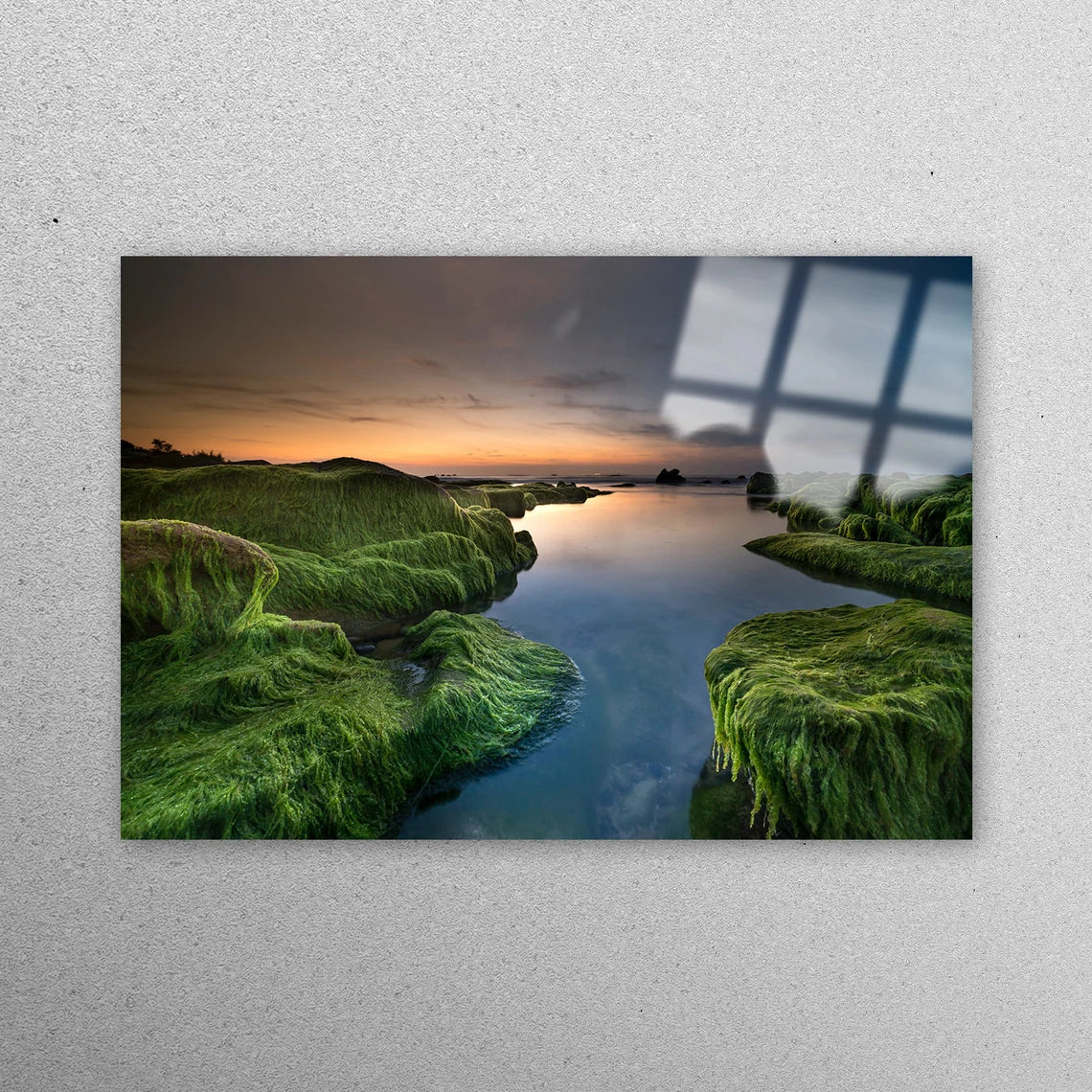 Green Algae Sunset Acrylic Glass Print Tempered Glass Wall Art 100% Made in Australia Ready to Hang