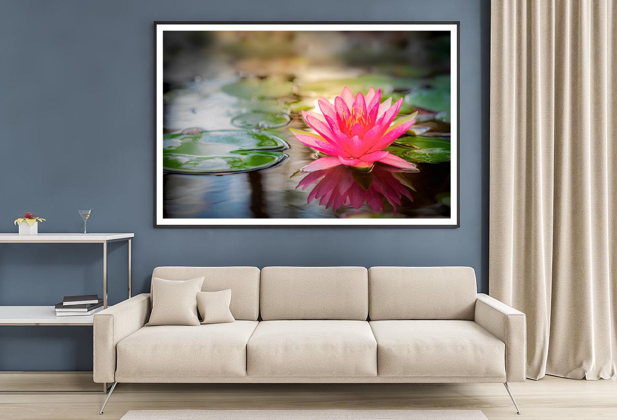 Pink Lotus On Water Home Decor Premium Quality Poster Print Choose Your Sizes