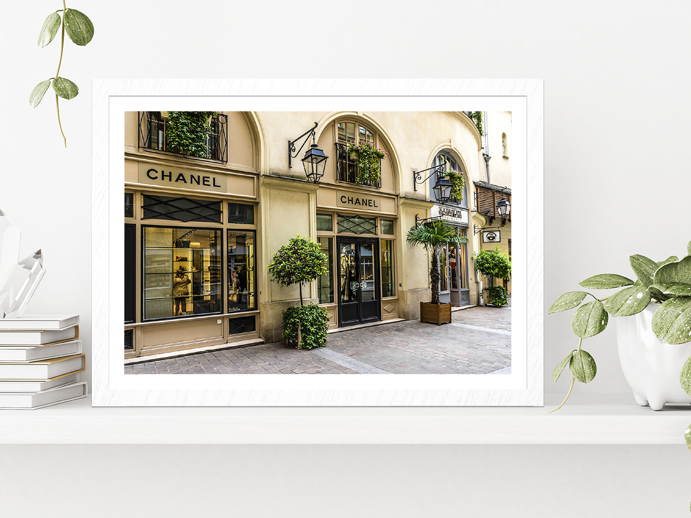 Tree Plants near Fashion Store Madeleine Glass Framed Wall Art, Ready to Hang Quality Print With White Border White