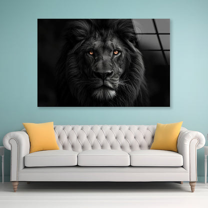 Lion Isolated on Black Portrait Acrylic Glass Print Tempered Glass Wall Art 100% Made in Australia Ready to Hang