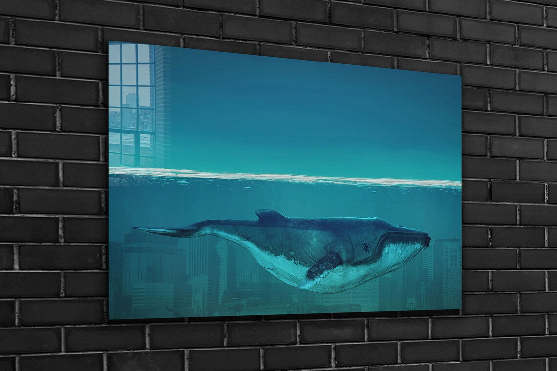 Whale Underwater View UV Direct Aluminum Print Australian Made Quality