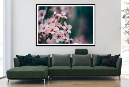 Closeup Of Spring Blossom Flower Home Decor Premium Quality Poster Print Choose Your Sizes