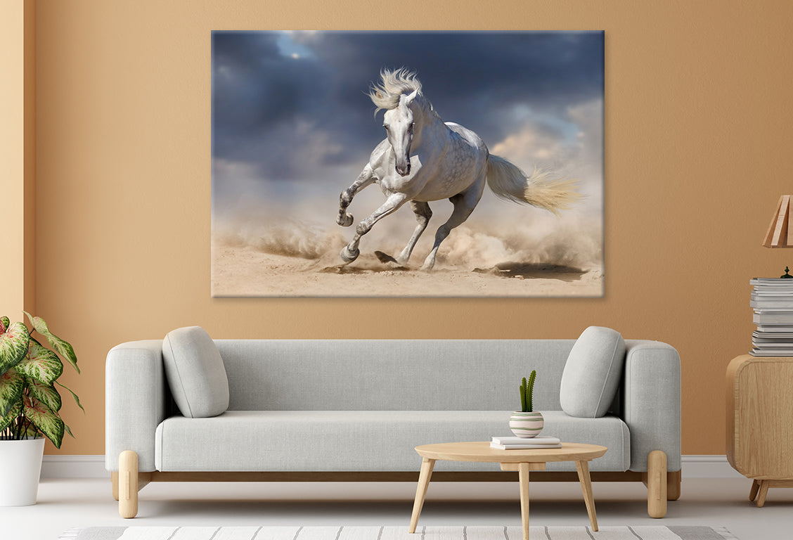 White horse running in desert sky Wall Art Decor 100% Australian Made - Bella Home Decor