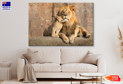 Male African Lion Is Cuddled by His Cub Wall Art Decor 100% Australian Made