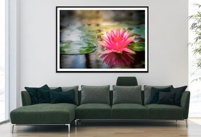 Pink Lotus On Water Home Decor Premium Quality Poster Print Choose Your Sizes