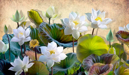 Blooming White Lotus Flowers with Green Leaves Painting 90x60cm Print 100% Australian Made