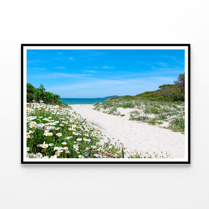 Pathway through the Sand Dunes Sardinia Home Decor Premium Quality Poster Print Choose Your Sizes