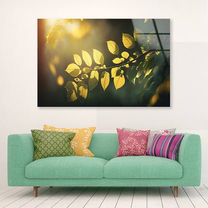 Morning Sunshine, Branch and Leaf Acrylic Glass Print Tempered Glass Wall Art 100% Made in Australia Ready to Hang - Bella Home Decor