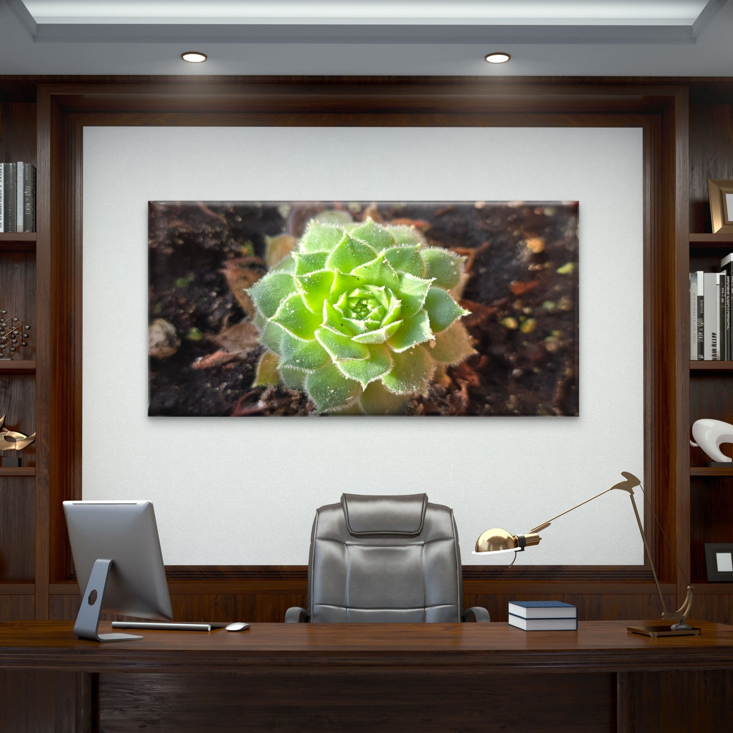 Green Succulent Plant Macro View Wall Art Canvas Office Home Room Framed 120x60cm