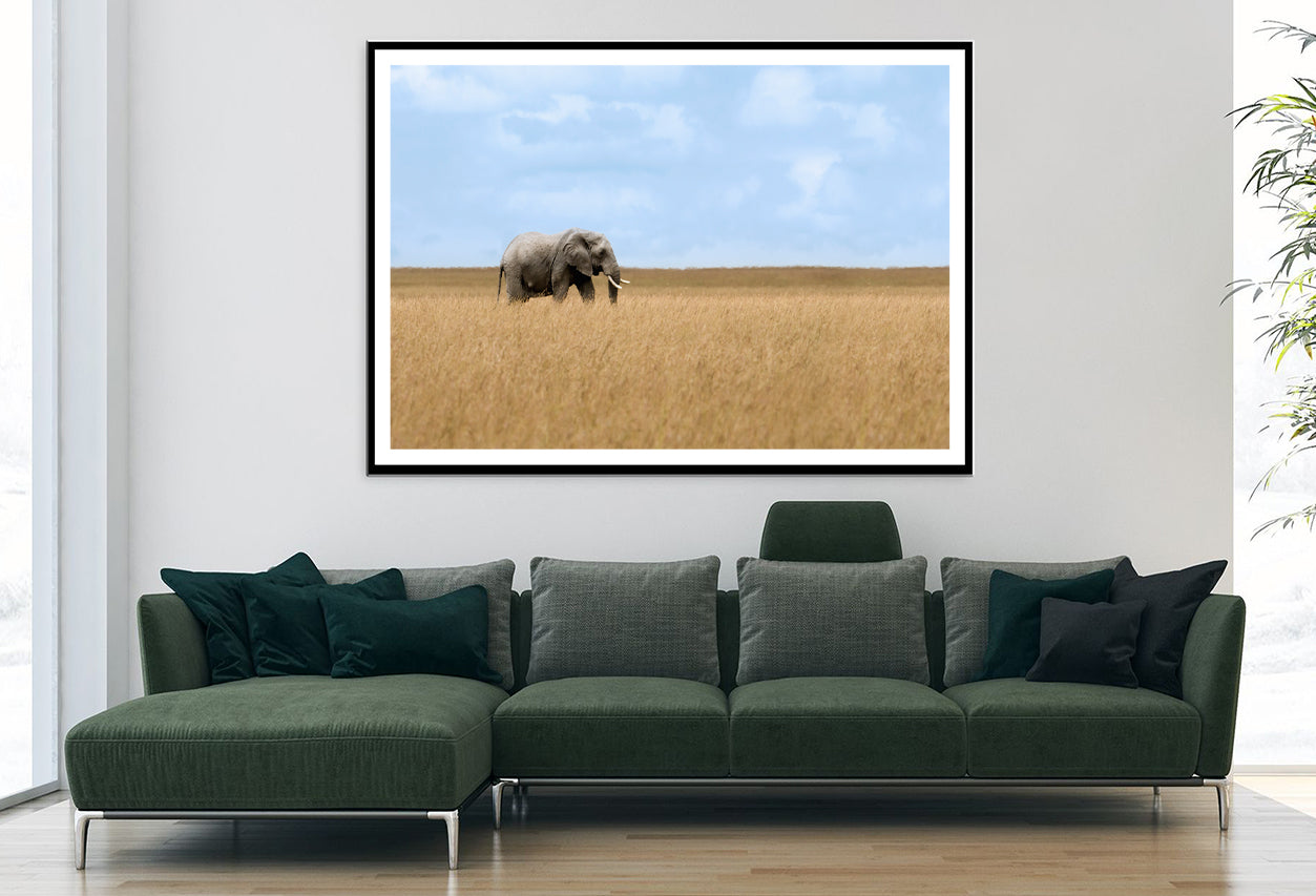 Elephant Walking Through Tall Grass in a Field Home Decor Premium Quality Poster Print Choose Your Sizes - Bella Home Decor