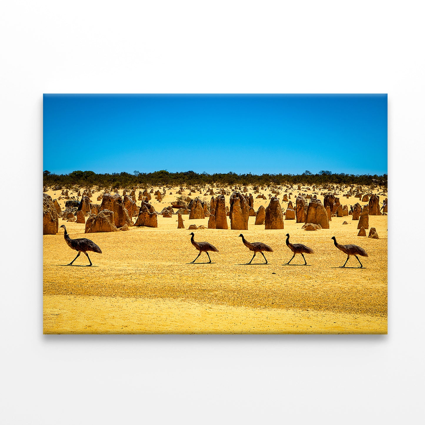 The Pinnacles Desert Western Australia Emus Wildlife Wall Art Decor 100% Australian Made