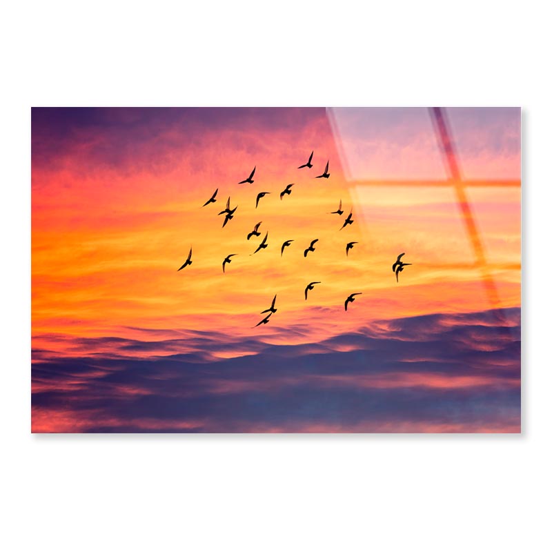 Birds Flying into Sunset Sky Acrylic Glass Print Tempered Glass Wall Art 100% Made in Australia Ready to Hang