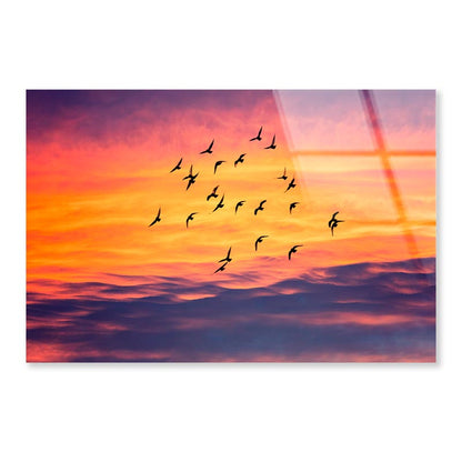 Birds Flying into Sunset Sky Acrylic Glass Print Tempered Glass Wall Art 100% Made in Australia Ready to Hang