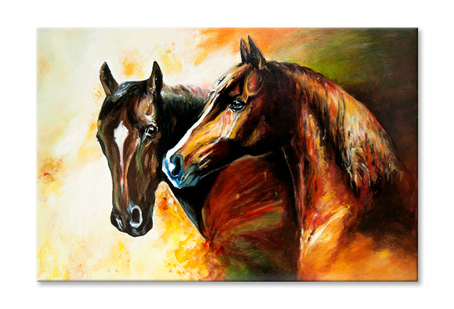 A Pair Of Horses Oil Painting Wall Art Limited Edition High Quality Print Stretched Canvas None