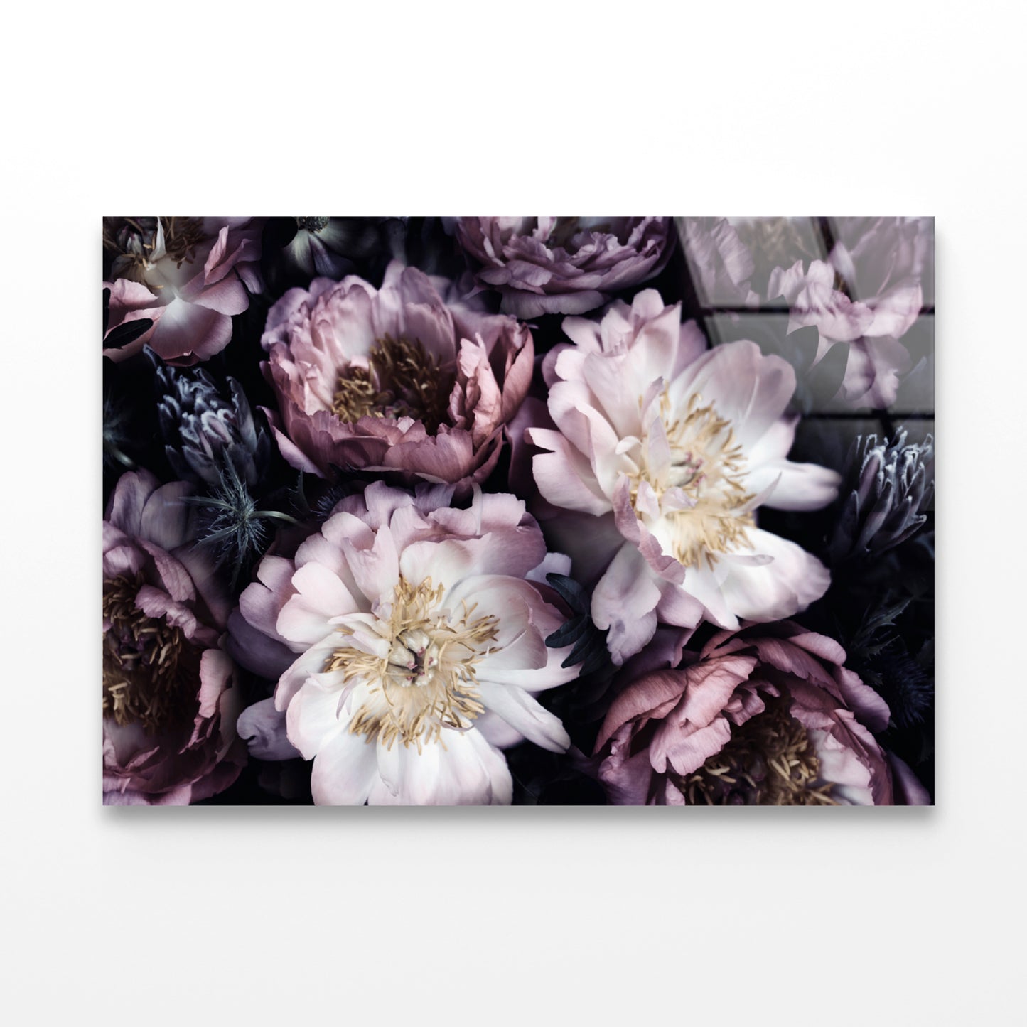 Group of Purple Flowers View Acrylic Glass Print Tempered Glass Wall Art 100% Made in Australia Ready to Hang - Bella Home Decor