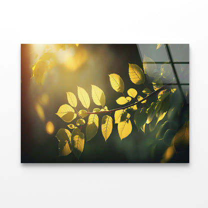 Morning Sunshine, Branch and Leaf Acrylic Glass Print Tempered Glass Wall Art 100% Made in Australia Ready to Hang - Bella Home Decor