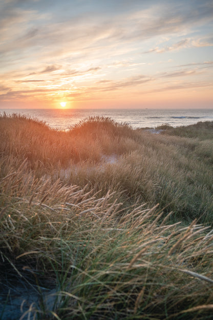 Sunset On the Danish Beach Portrait Photograph Acrylic Glass Print Tempered Glass Wall Art 100% Made in Australia Ready to Hang - Bella Home Decor