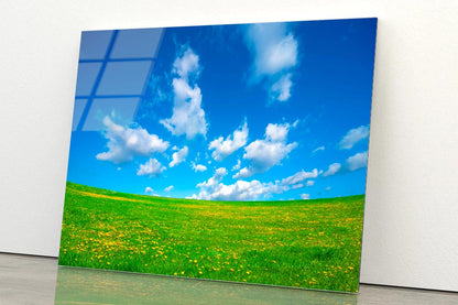 Grassland and Blue Sky Acrylic Glass Print Tempered Glass Wall Art 100% Made in Australia Ready to Hang