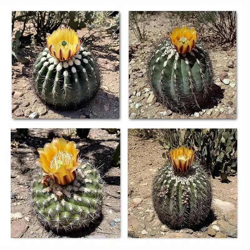 4pcs Saguaro Cactus Wall Art Canvas Framed
