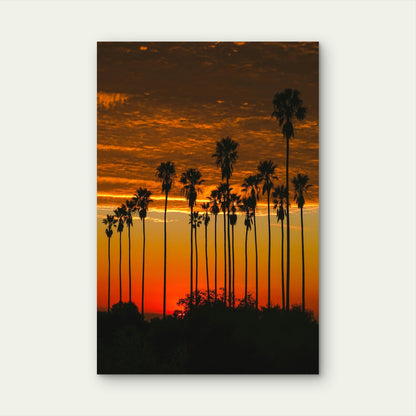 Palm Trees Silhouetted Against A Vibrant Orange And Yellow Sunset Sky 40x60cm Metal Print Ready to Hang