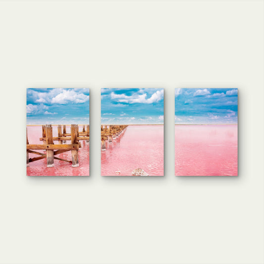 3pcs Pink Salt Lake Syvash In Ukraine  Wall Art Set Canvas Framed 40x60cm - High Quality Print 100% Australian Made Wall Canvas Ready to Hang