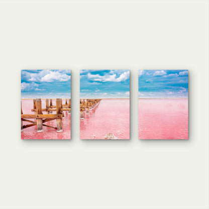 3pcs Pink Salt Lake Syvash In Ukraine Wall Art Set Canvas Framed 60x90cm - High Quality Print 100% Australian Made Wall Canvas Ready to Hang