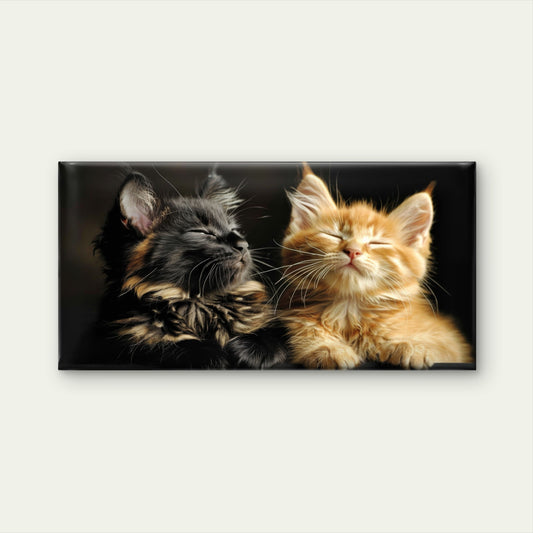 Two Fluffy Maine Coon Cat Wall Art Canvas Office Home Room Framed 120x60cm