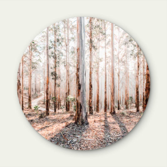 Faded Gum Tree Forest Neutral Color Acrylic Glass Rounded Print Tempered Glass Wall Art 100% Made in Australia Ready to Hang