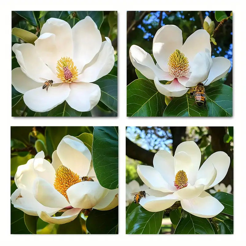 4pcs Magnolia Flowe Vintage Abstract Wall Art Canvas Framed