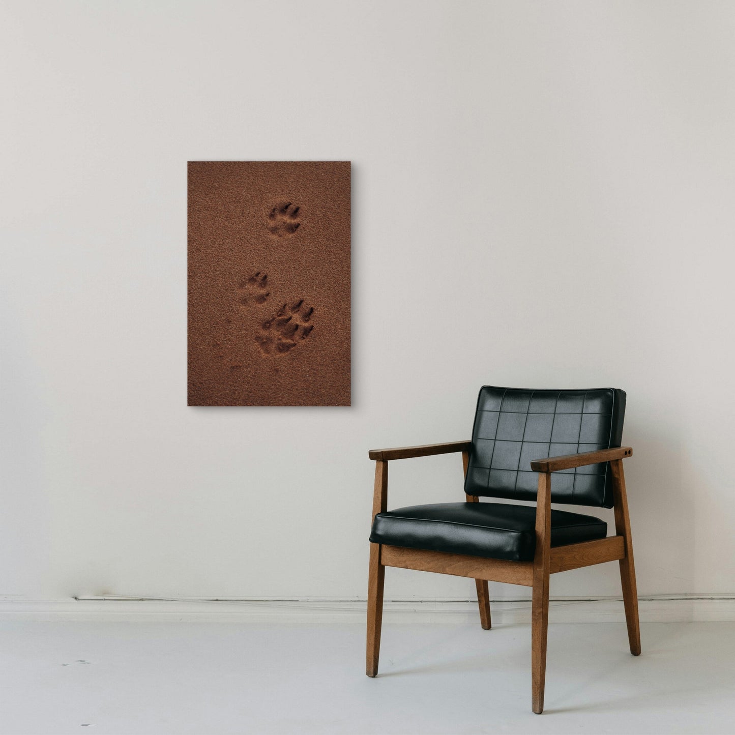 Animal Paws illustration 40x60cm Metal Print Ready to Hang