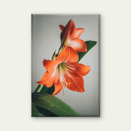 Blooming Red Lily flowers with green leaves Neutral Vintage Wall Art Decor 100% Australian Made