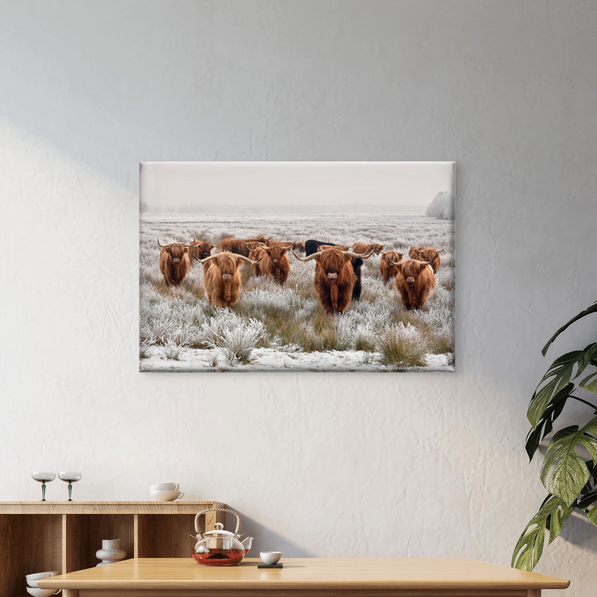 Highland Cow Herd Photograph Print 100% Australian Made - Bella Home Decor