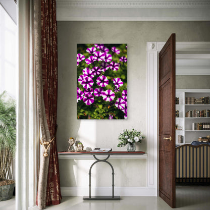 Purple White Striped Petunia Flower Garden 40x60cm Metal Print Ready to Hang