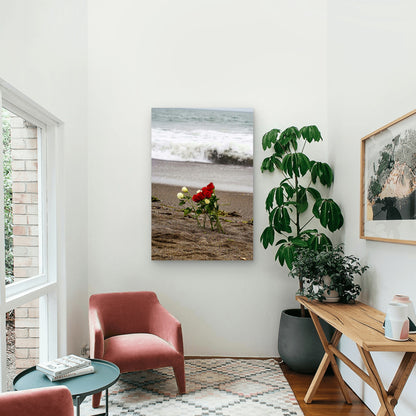 Bouquet of Red and White Roses on Ocean Shore 60x90cm Metal Print Ready to Hang