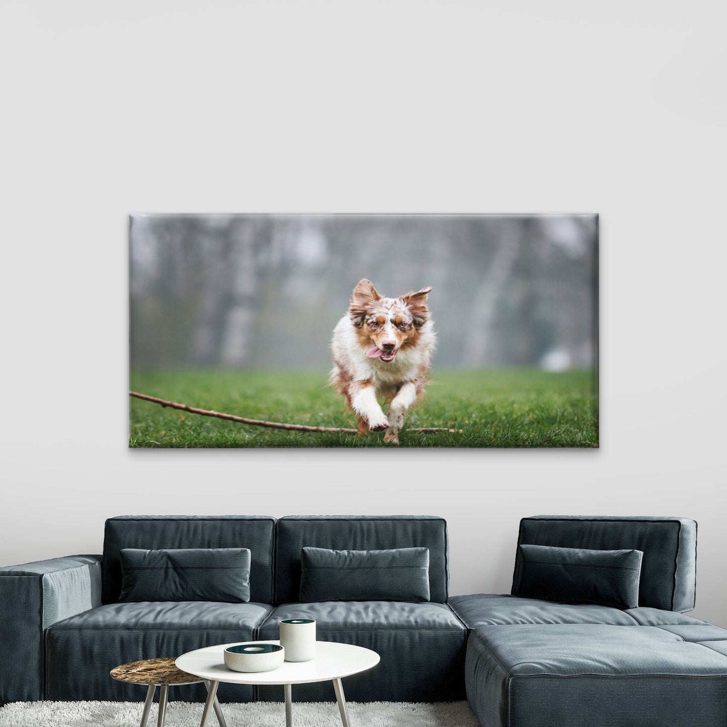 Australian Shepherd Dog Wall Art Canvas Office Home Room Framed 120x60cm