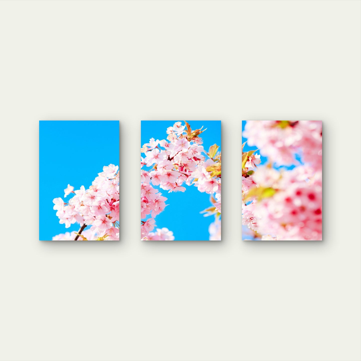 3pcs Japanese Pink Cherry Blossom Floral  Wall Art Set Canvas Framed 60x90cm - High Quality Print 100% Australian Made Wall Canvas Ready to Hang