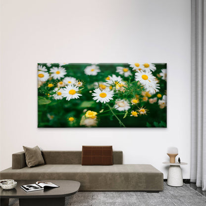White Daisies In Green Field Wall Art Canvas Office Home Room Framed 120x60cm